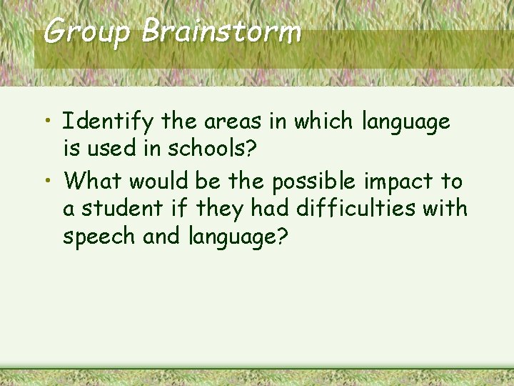Group Brainstorm • Identify the areas in which language is used in schools? •