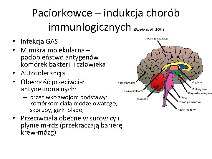 Paciorkowce – indukcja chorób immunlogicznych (Swedo et. Al. . 2004) • Infekcja GAS •
