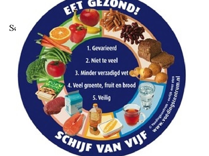 Voeding en vertering schijf van vijf. voedingswijzer Schijf van vijf nieuw 