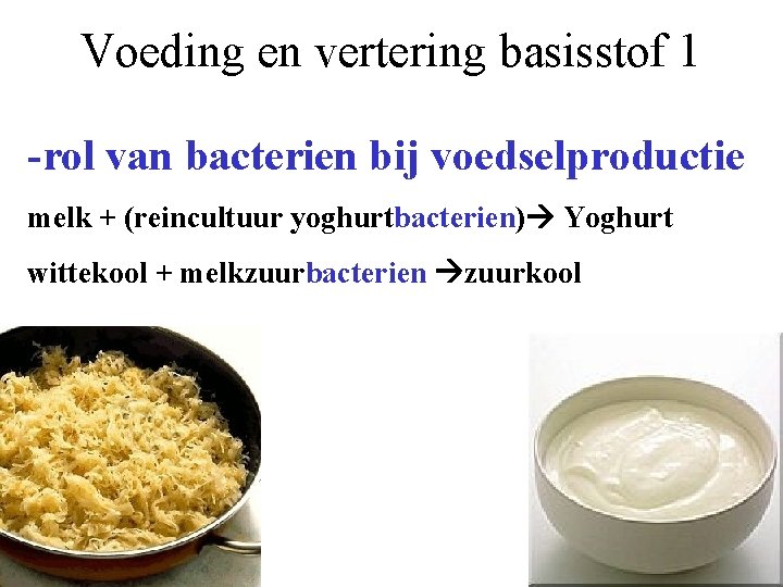 Voeding en vertering basisstof 1 -rol van bacterien bij voedselproductie melk + (reincultuur yoghurtbacterien)