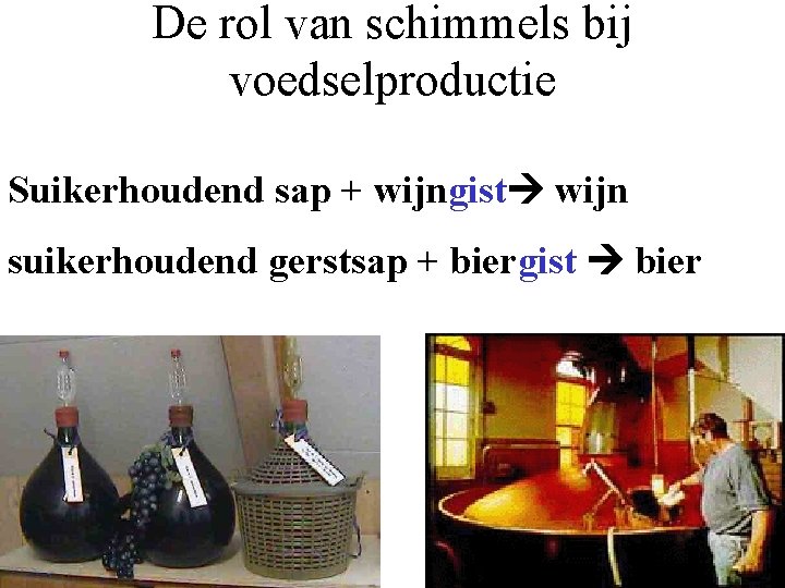 De rol van schimmels bij voedselproductie Suikerhoudend sap + wijngist wijn suikerhoudend gerstsap +