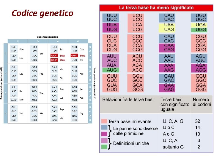 Codice genetico 