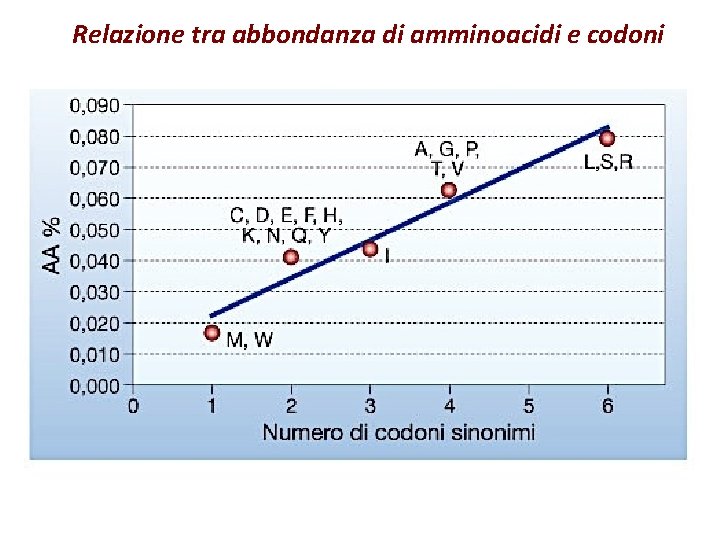 Relazione tra abbondanza di amminoacidi e codoni 