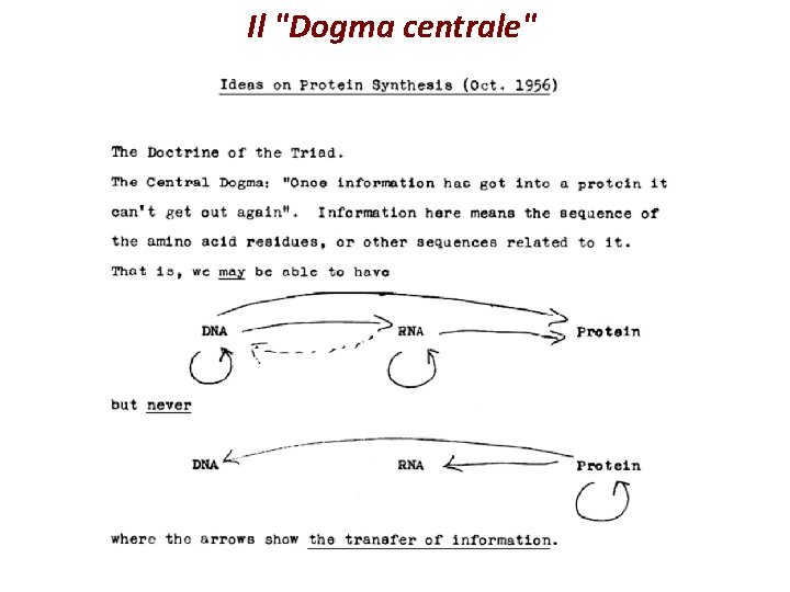 Il "Dogma centrale" 