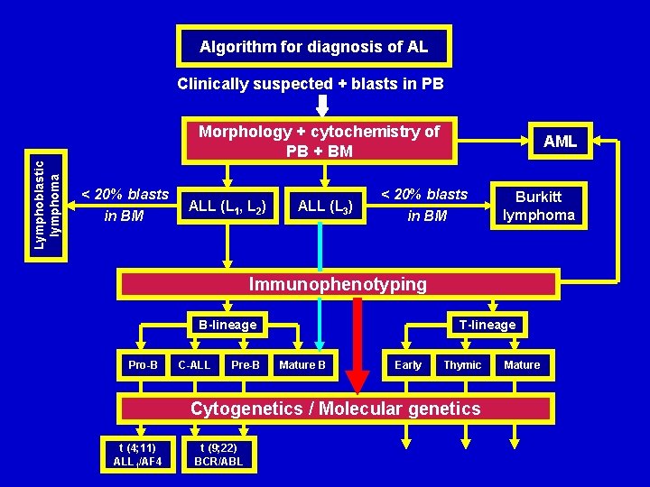 Algorithm for diagnosis of AL Lymphoblastic lymphoma Clinically suspected + blasts in PB Morphology
