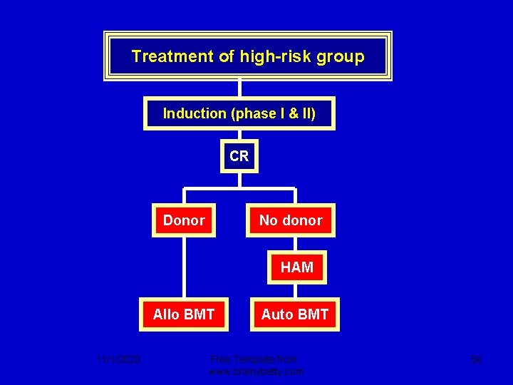 Treatment of high-risk group Induction (phase I & II) CR Donor No donor HAM