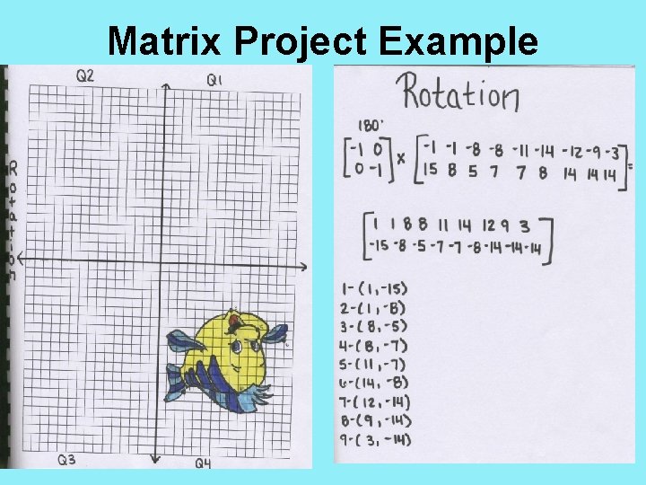 Matrix Project Example 