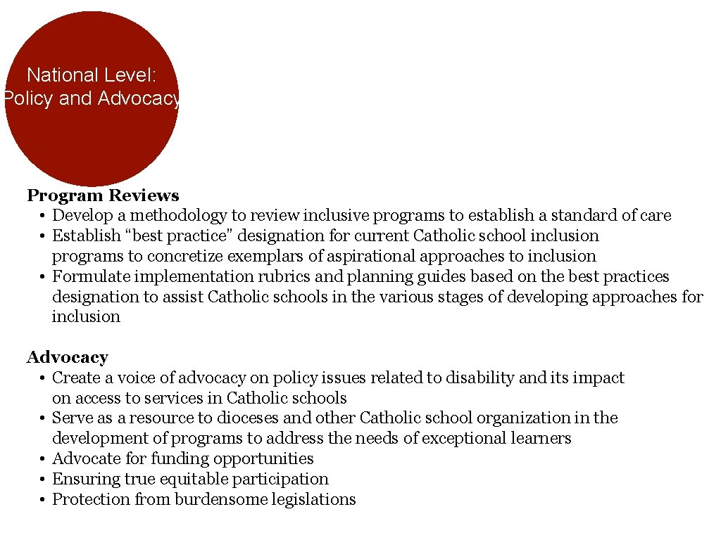 National Level: Policy and Advocacy Program Reviews • Develop a methodology to review inclusive
