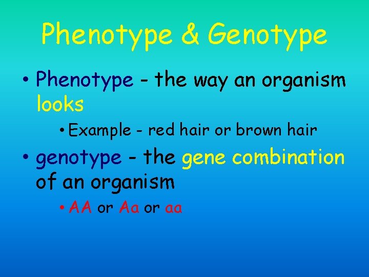 Phenotype & Genotype • Phenotype - the way an organism looks • Example -