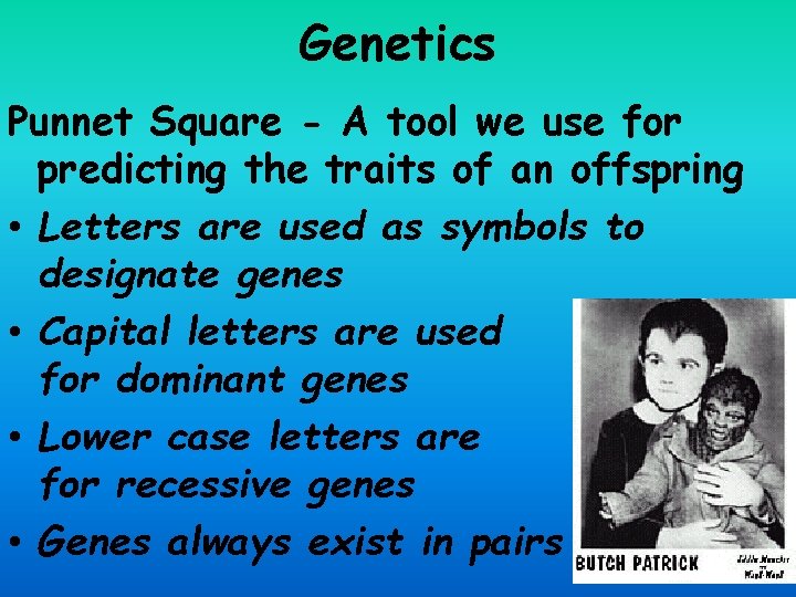 Genetics Punnet Square - A tool we use for predicting the traits of an