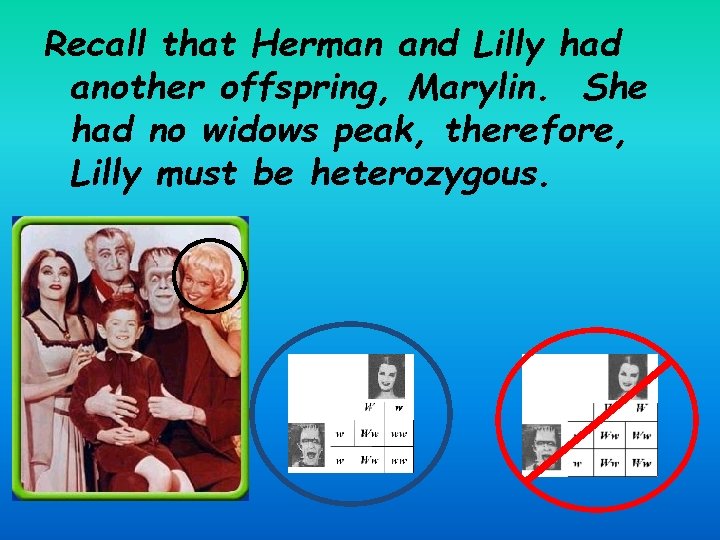 Recall that Herman and Lilly had another offspring, Marylin. She had no widows peak,