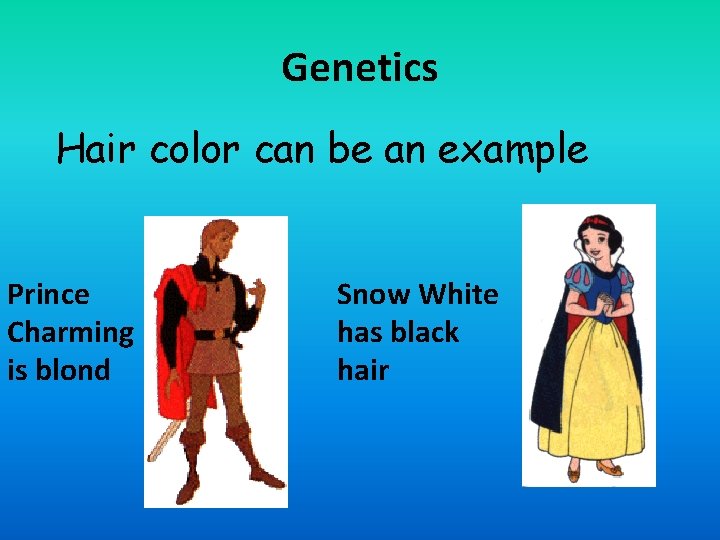 Genetics Hair color can be an example Prince Charming is blond Snow White has
