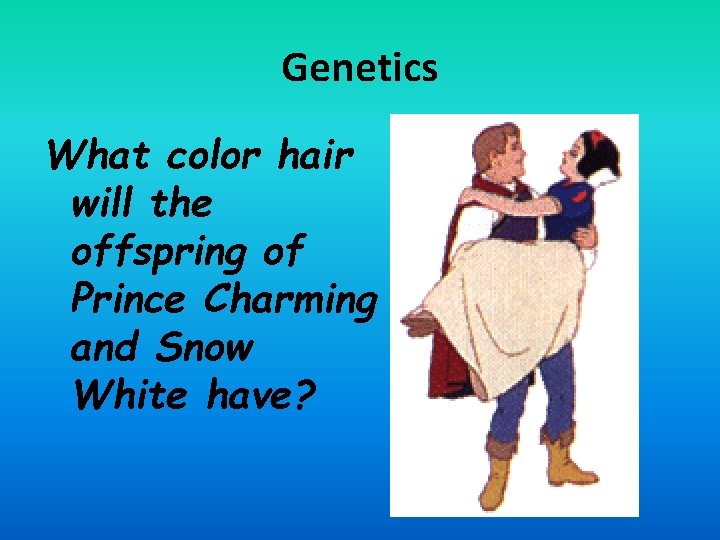 Genetics What color hair will the offspring of Prince Charming and Snow White have?