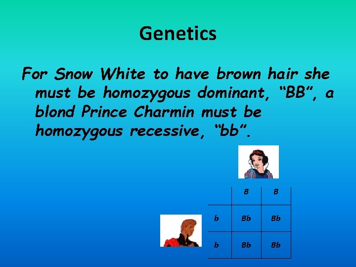 Genetics For Snow White to have brown hair she must be homozygous dominant, “BB”,