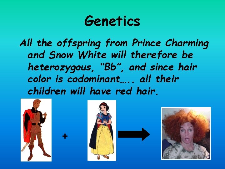 Genetics All the offspring from Prince Charming and Snow White will therefore be heterozygous,