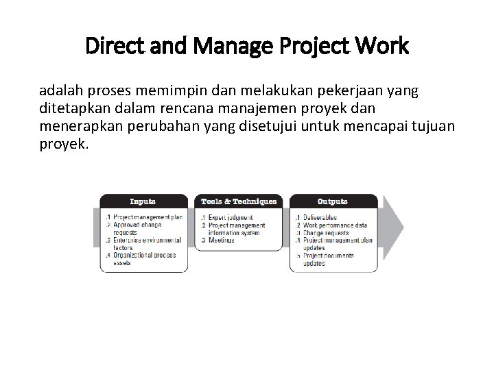 Direct and Manage Project Work adalah proses memimpin dan melakukan pekerjaan yang ditetapkan dalam