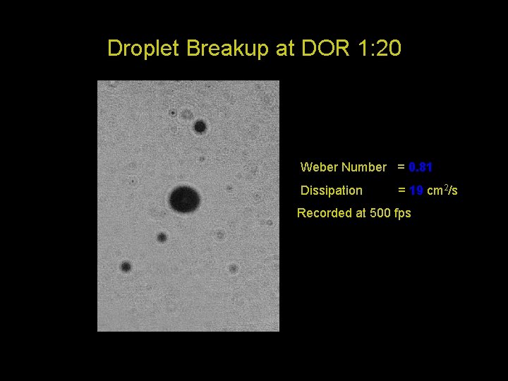 Droplet Breakup at DOR 1: 20 Weber Number = 0. 81 Dissipation = 19