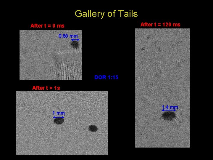 Gallery of Tails After t = 120 ms After t = 0 ms 0.