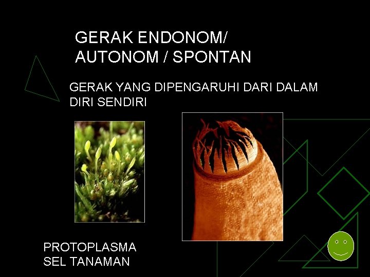 GERAK ENDONOM/ AUTONOM / SPONTAN GERAK YANG DIPENGARUHI DARI DALAM DIRI SENDIRI PROTOPLASMA SEL