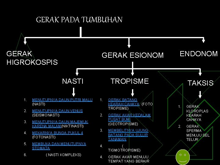 GERAK PADA TUMBUHAN GERAK HIGROKOSPIS GERAK ESIONOM NASTI 1. MENUTUPNYA DAUN PUTRI MALU (NASTI)