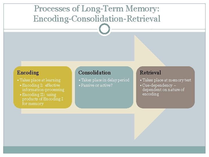Processes of Long-Term Memory: Encoding-Consolidation-Retrieval Encoding Consolidation Retrieval • Takes place at learning •