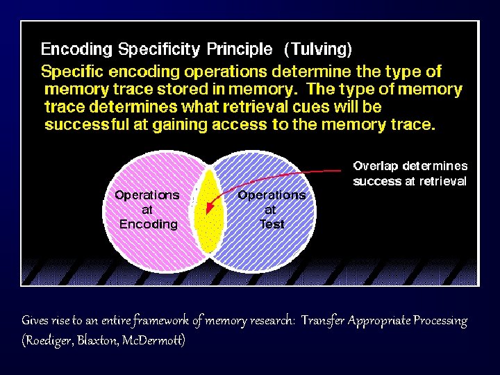 Gives rise to an entire framework of memory research: Transfer Appropriate Processing (Roediger, Blaxton,
