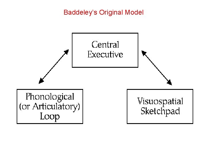 Baddeley’s Original Model 