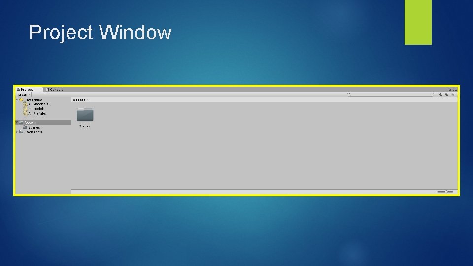 Project Window Project Window