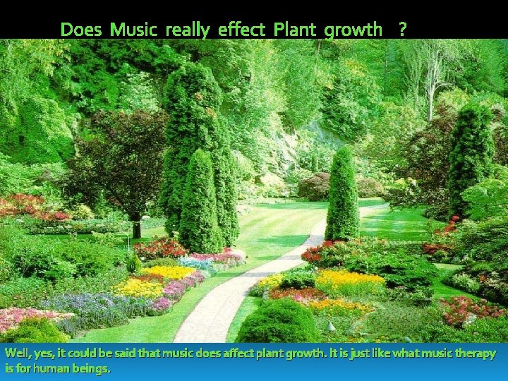  Does Music really effect Plant growth ? Well, yes, it could be said