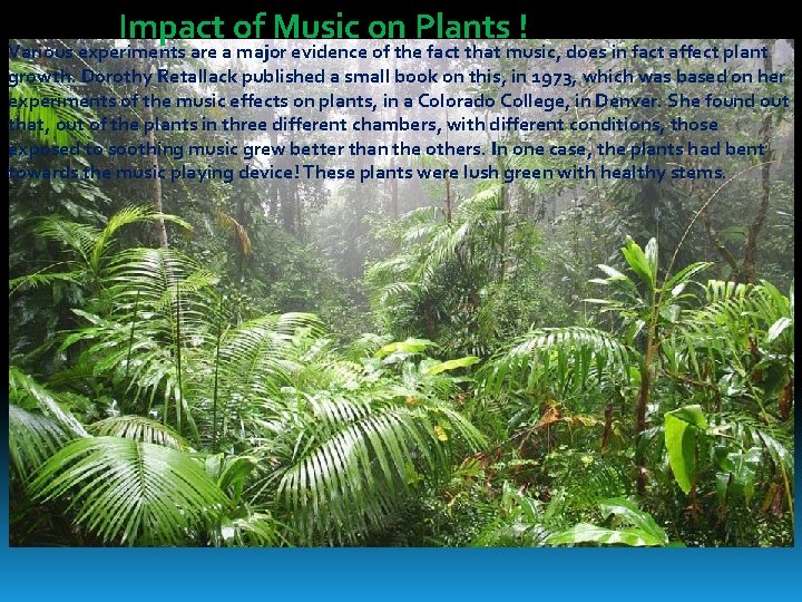 Impact of Music on Plants ! Various experiments are a major evidence of the
