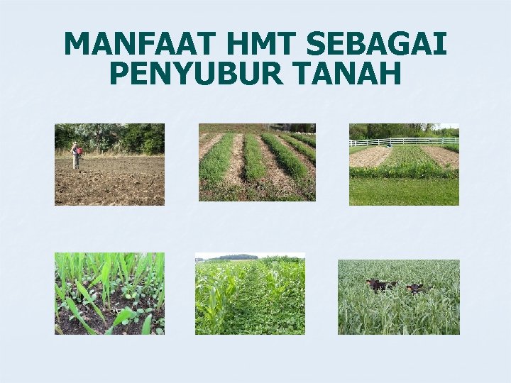 MANFAAT HMT SEBAGAI PENYUBUR TANAH 