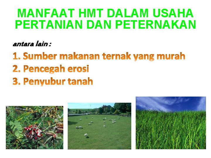 MANFAAT HMT DALAM USAHA PERTANIAN DAN PETERNAKAN antara lain : 