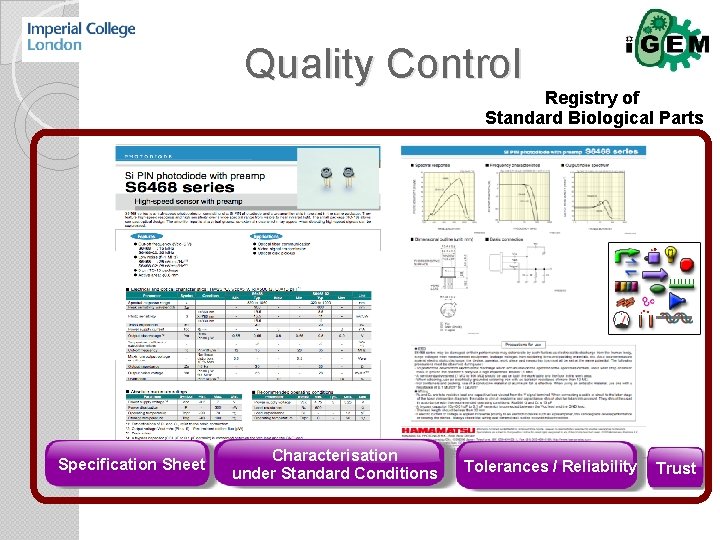 Quality Control Registry of Standard Biological Parts Specification Sheet Characterisation under Standard Conditions Tolerances
