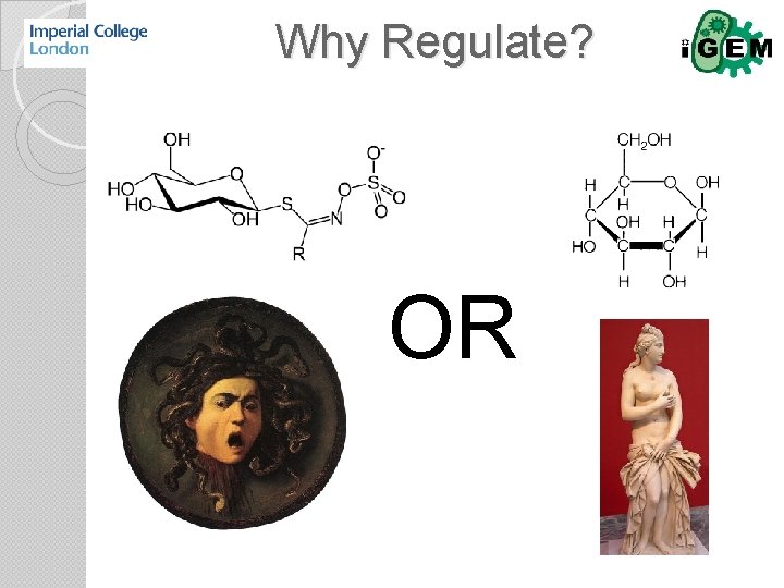 Why Regulate? OR 