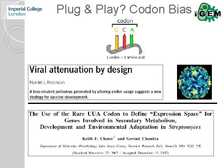 Plug & Play? Codon Bias 