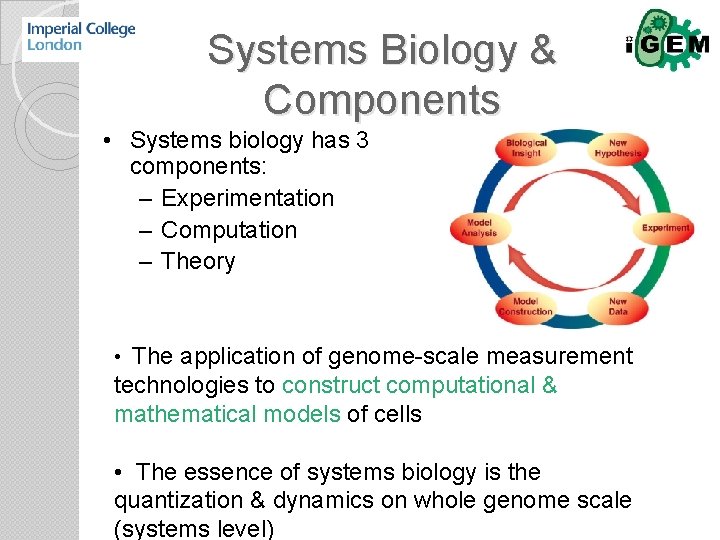 Systems Biology & Components • Systems biology has 3 components: – Experimentation – Computation