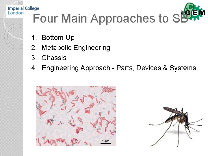Four Main Approaches to SB 1. 2. 3. 4. Bottom Up Metabolic Engineering Chassis