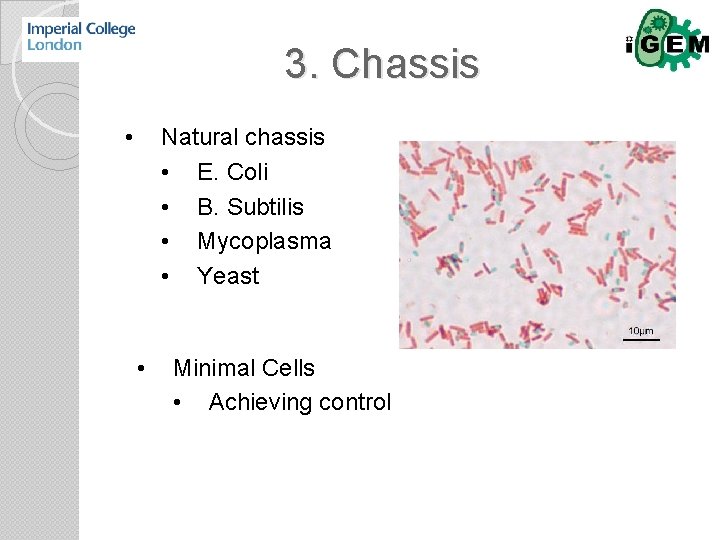 3. Chassis • Natural chassis • E. Coli • B. Subtilis • Mycoplasma •