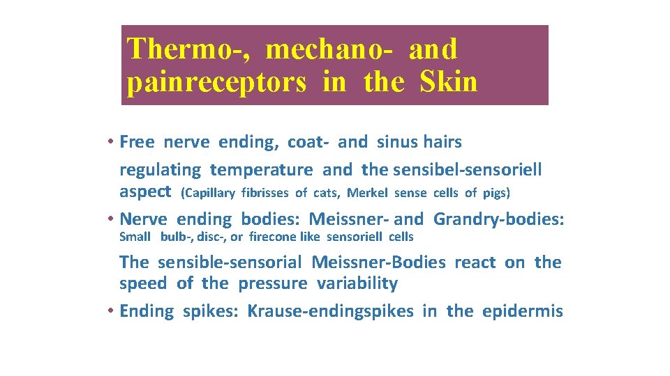 Thermo-, mechano- and painreceptors in the Skin • Free nerve ending, coat- and sinus