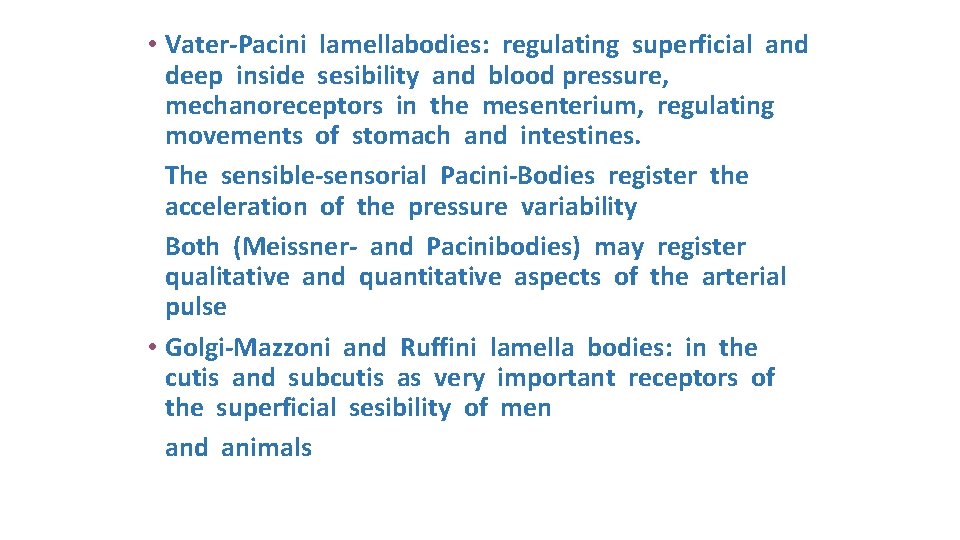  • Vater-Pacini lamellabodies: regulating superficial and deep inside sesibility and blood pressure, mechanoreceptors