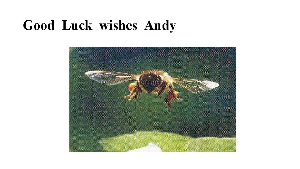 Good Luck wishes Andy 