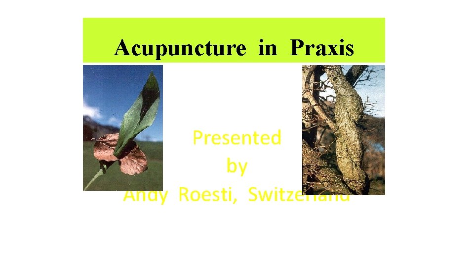 Acupuncture in Praxis Presented by Andy Roesti, Switzerland 