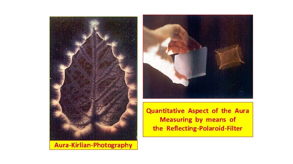 Quantitative Aspect of the Aura Measuring by means of the Reflecting-Polaroid-Filter Aura-Kirlian-Photography 