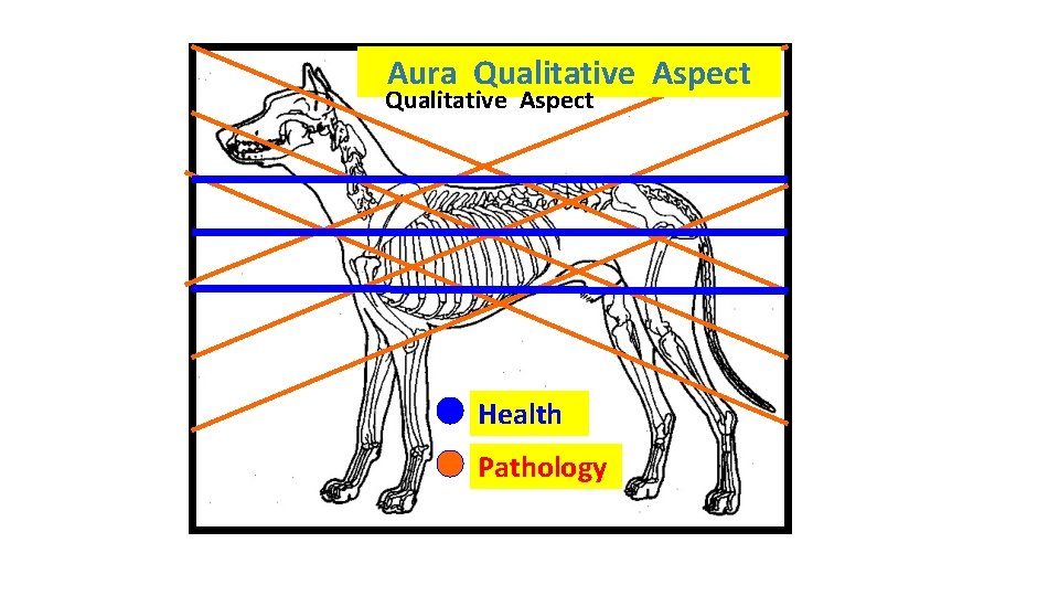 Aura Qualitative Aspect Health Pathology 