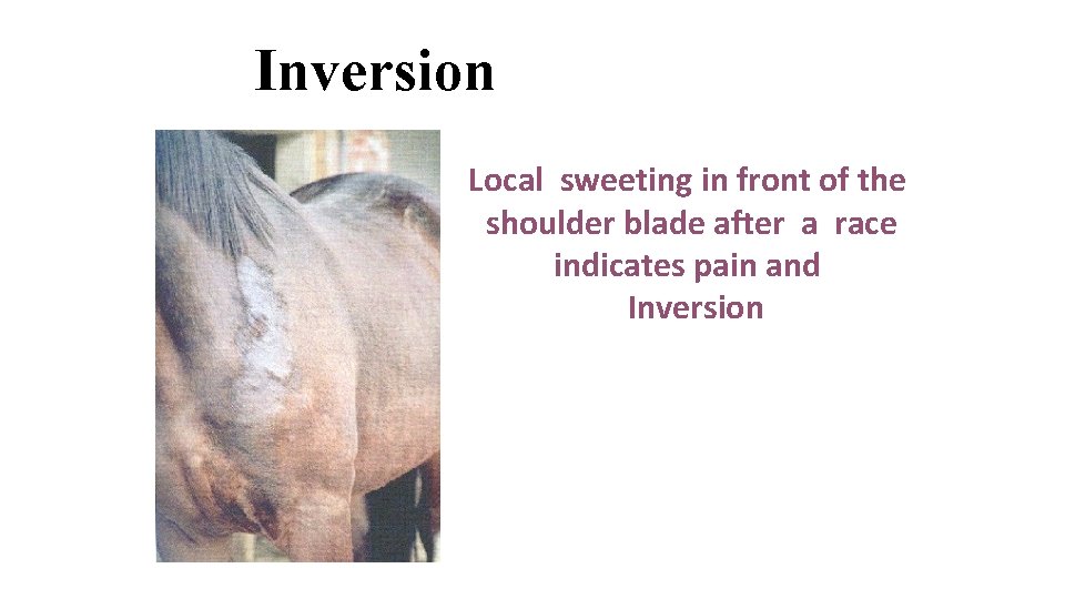 Inversion Local sweeting in front of the shoulder blade after a race indicates pain