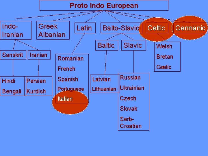 Proto Indo European Indo. Iranian Greek Albanian Latin Balto-Slavic Baltic Sanskrit Hindi Iranian Persian