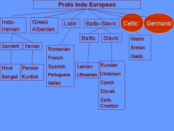 Proto Indo European Indo. Iranian Greek Albanian Latin Balto-Slavic Baltic Sanskrit Hindi Iranian Persian