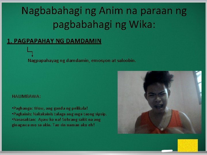 Nagbabahagi ng Anim na paraan ng pagbabahagi ng Wika: 1. PAGPAPAHAY NG DAMDAMIN Nagpapahayag