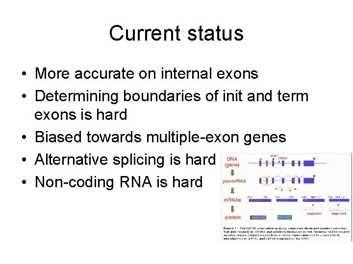 Current status • More accurate on internal exons • Determining boundaries of init and