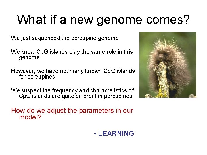 What if a new genome comes? We just sequenced the porcupine genome We know